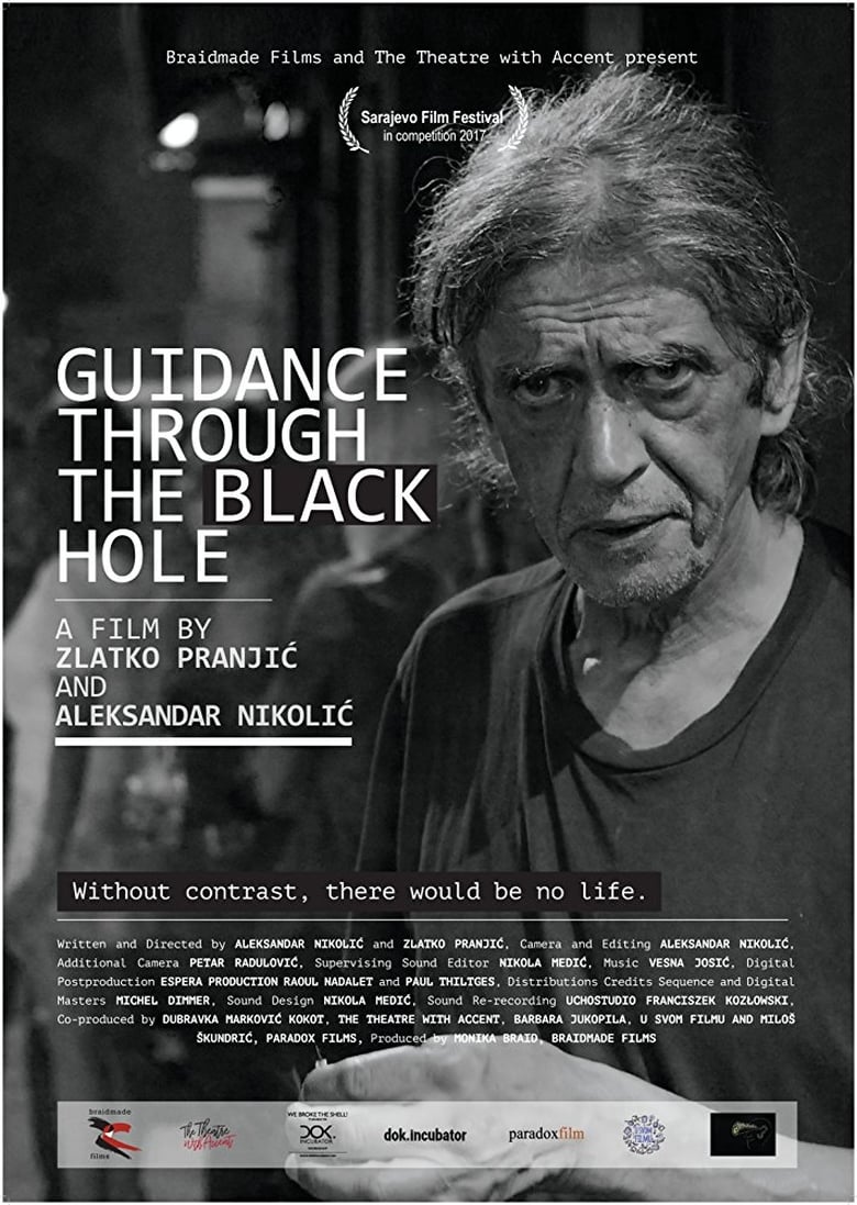 Poster of Guidance Through the Black Hole