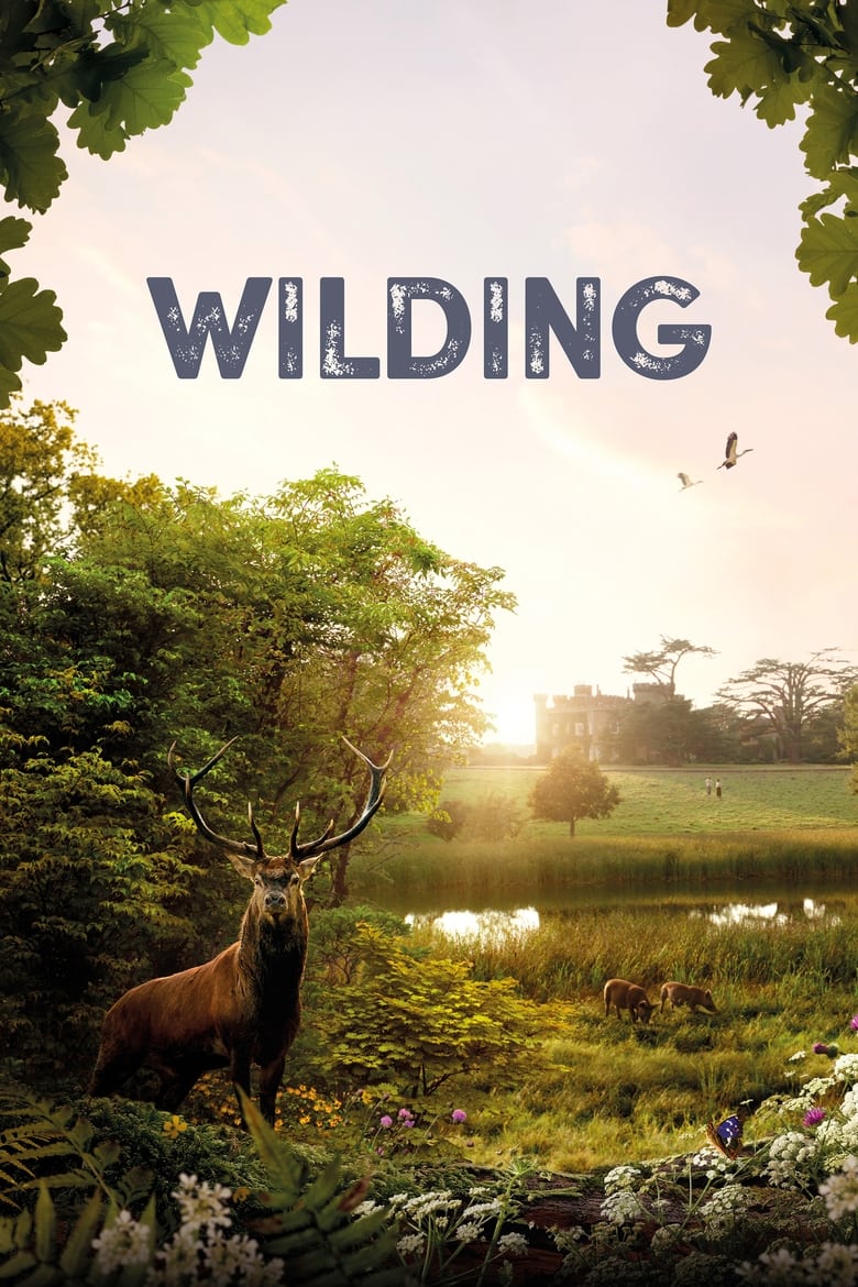 Poster of Wilding