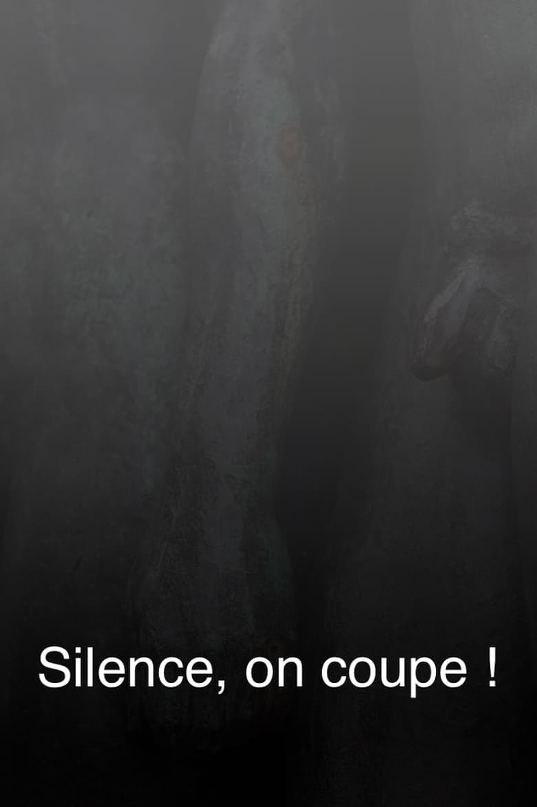 Poster of Silence, on coupe !