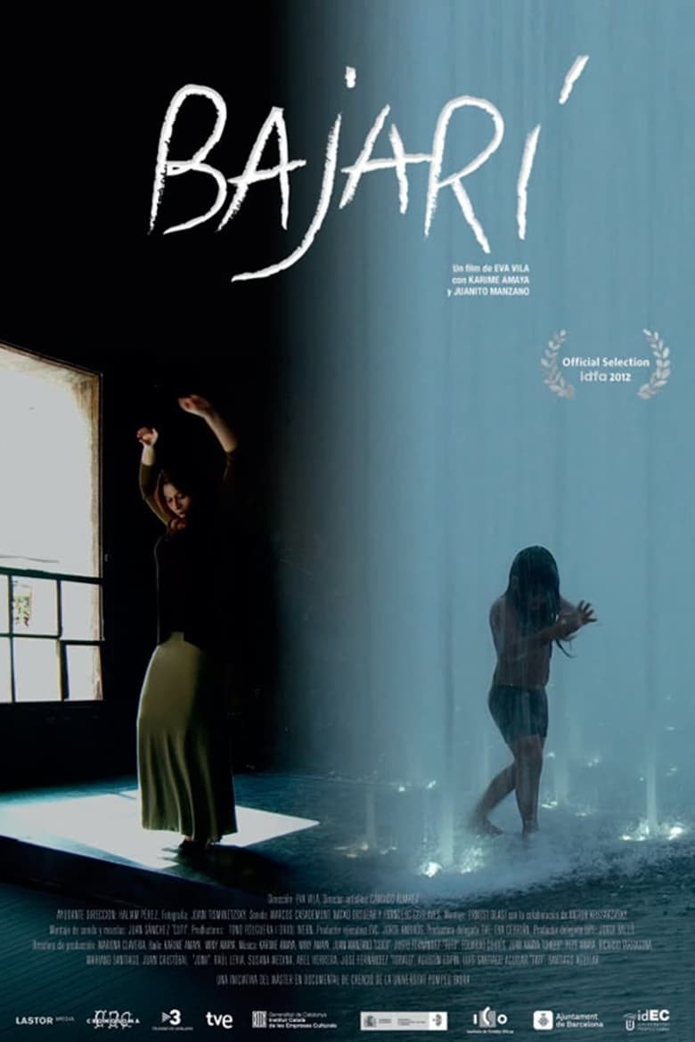 Poster of Bajarí