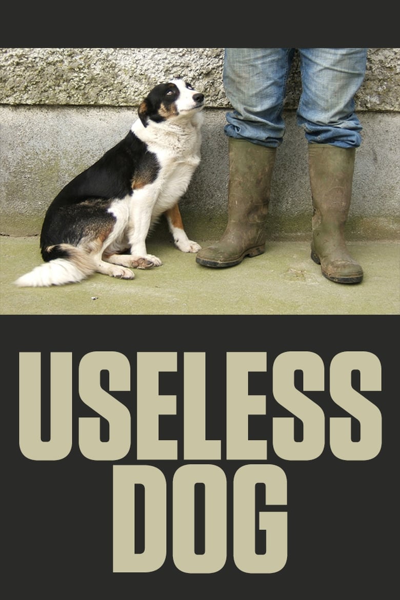 Poster of Useless Dog