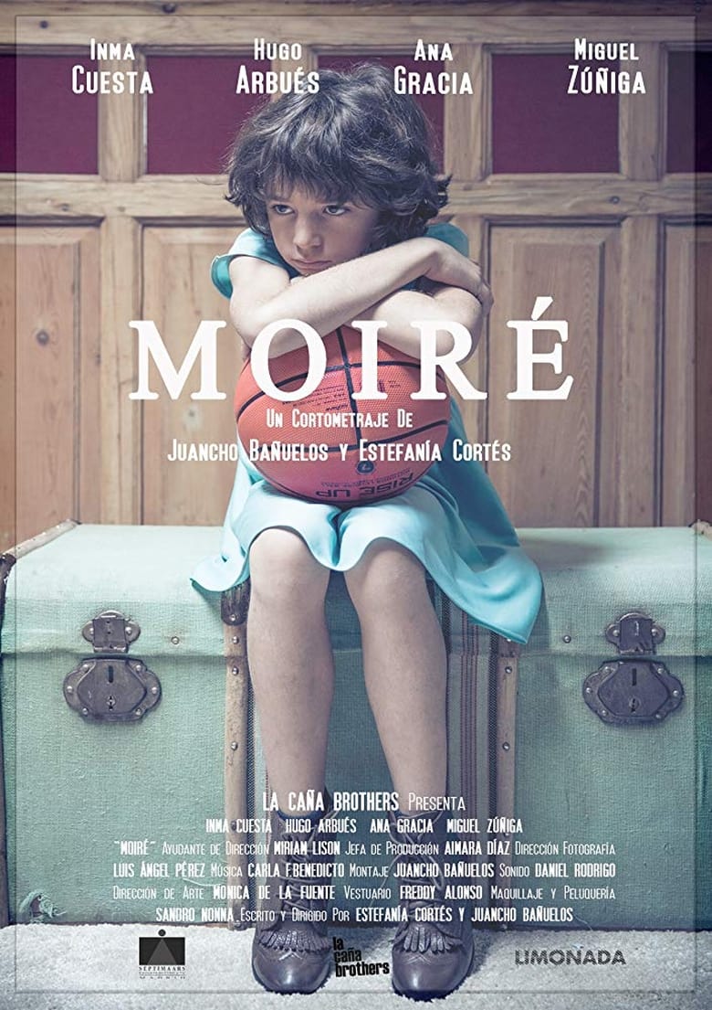 Poster of Moiré