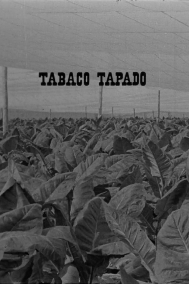 Poster of Tabaco tapado