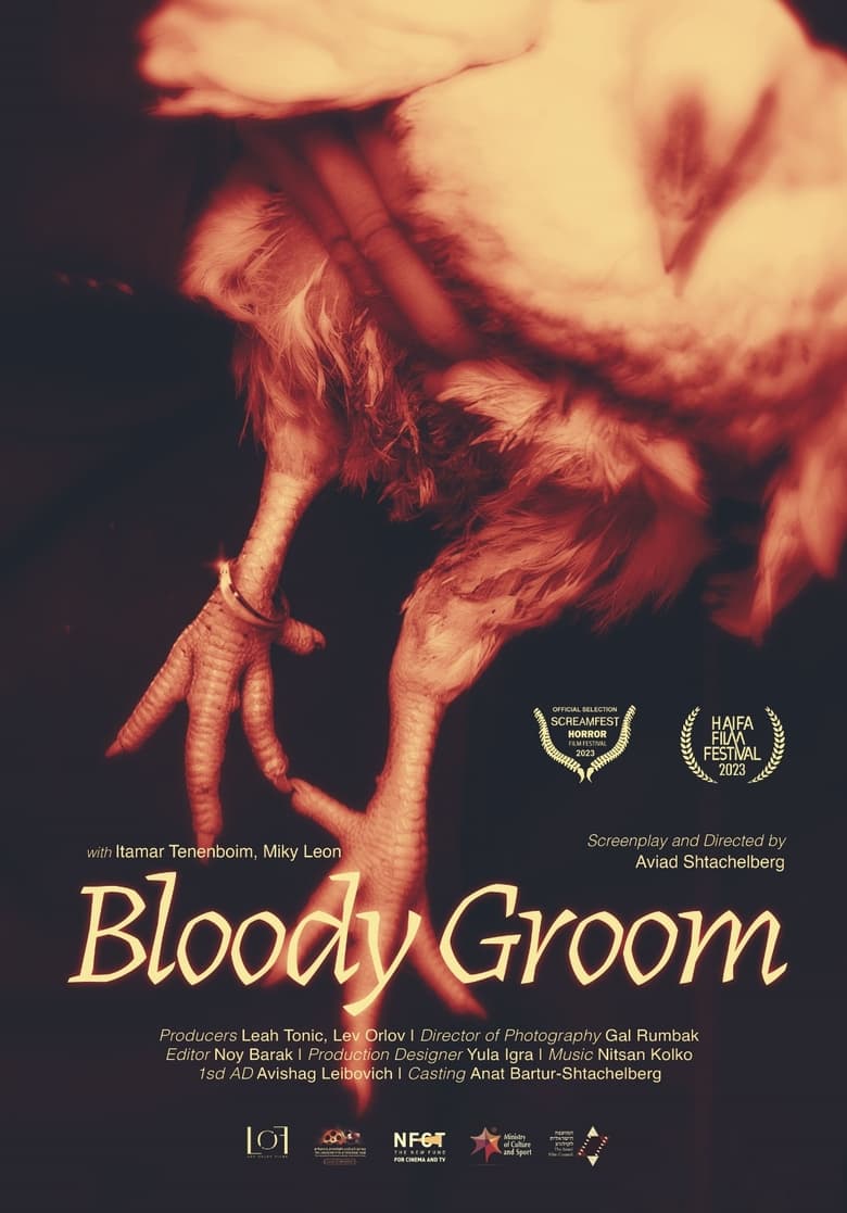 Poster of Bloody Groom