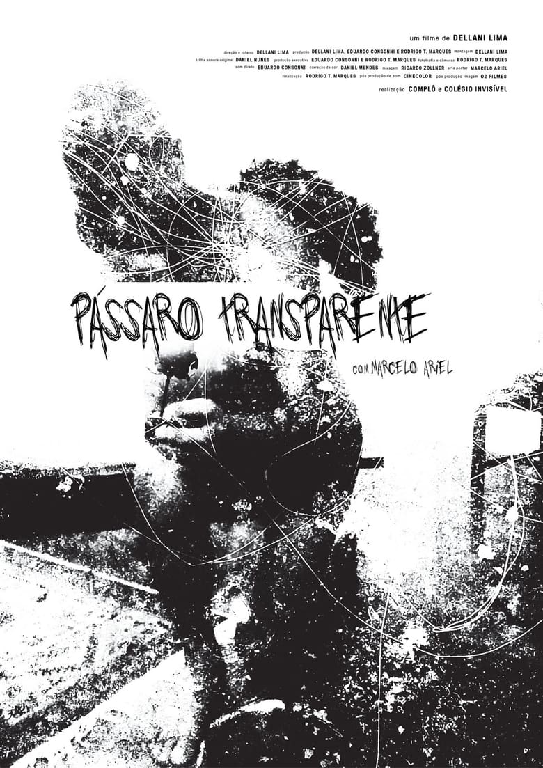 Poster of Pássaro Transparente