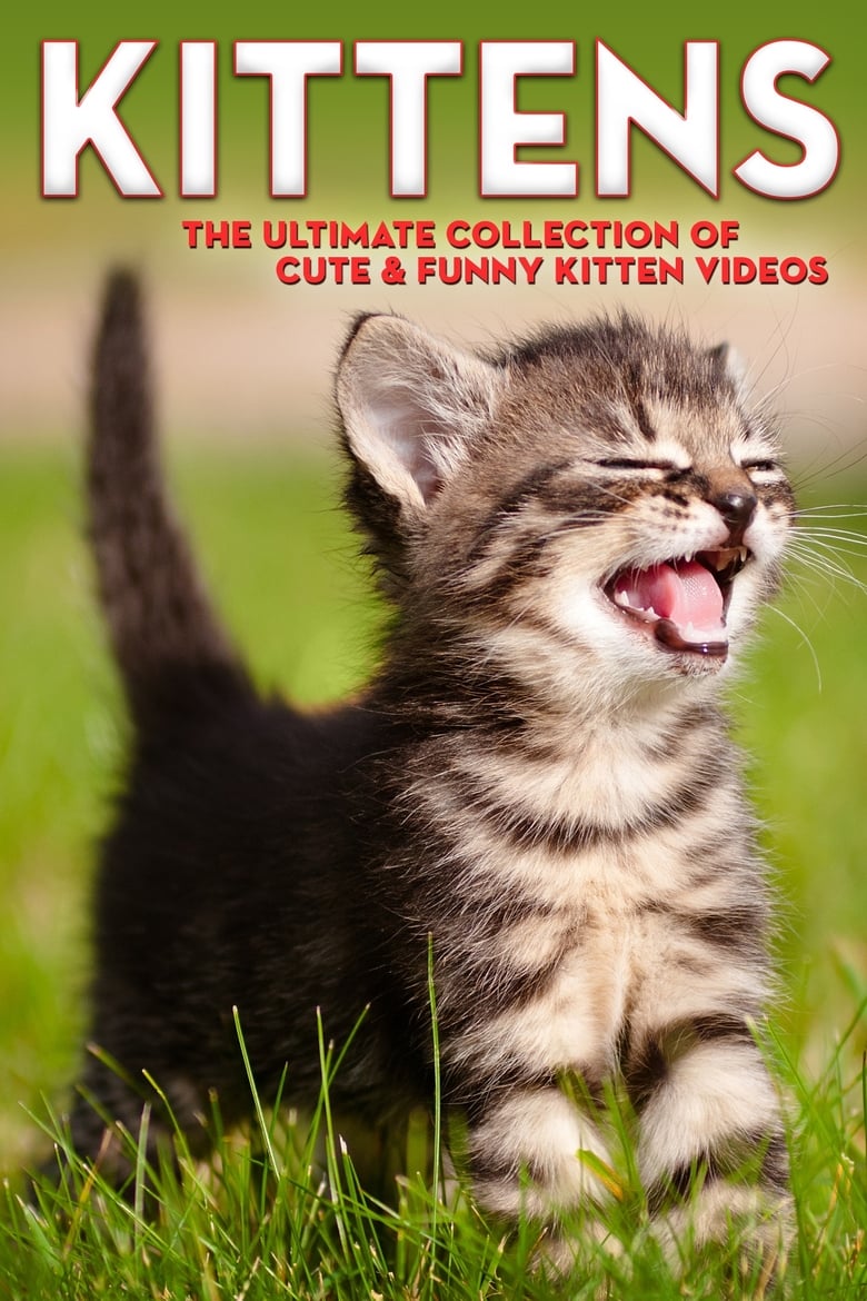 Poster of Kittens The Ultimate Collection of Cute & Funny Kitten Videos