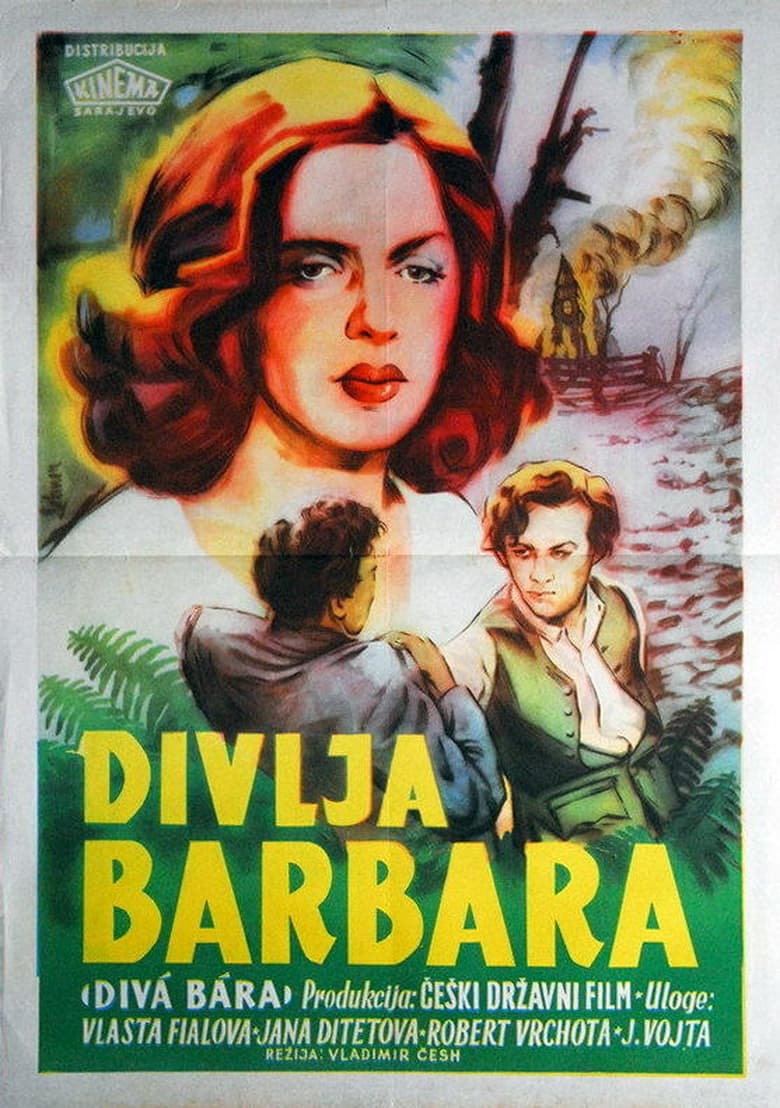 Poster of Divá Bára