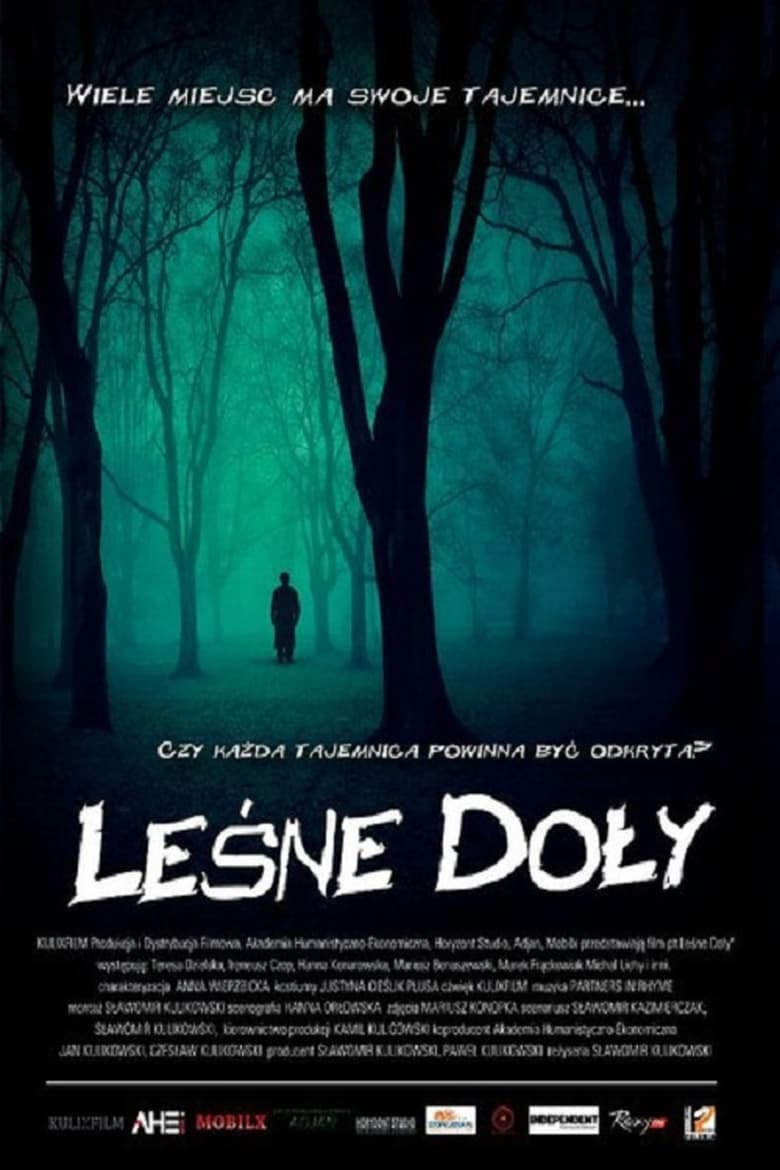 Poster of Leśne Doły