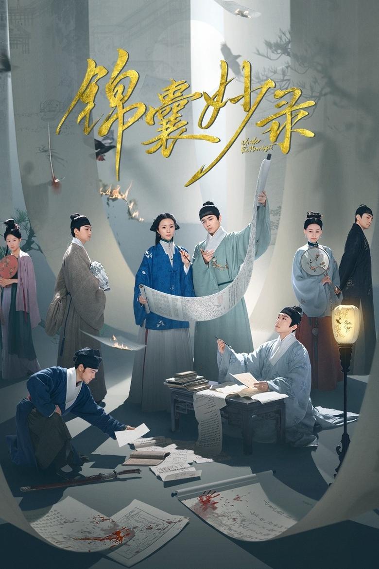 Poster of Under the Moonlight