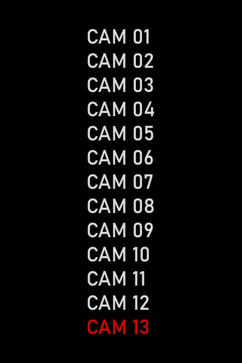 Poster of CAM 13