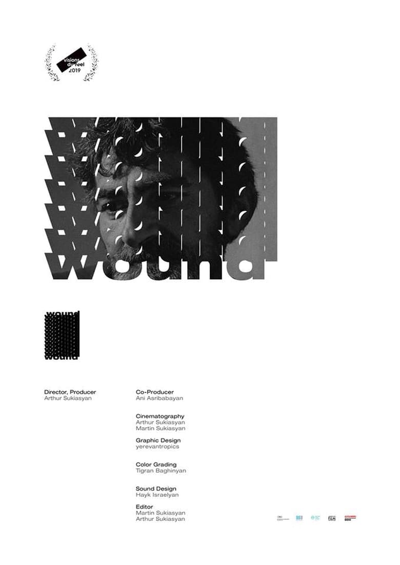 Poster of Wound