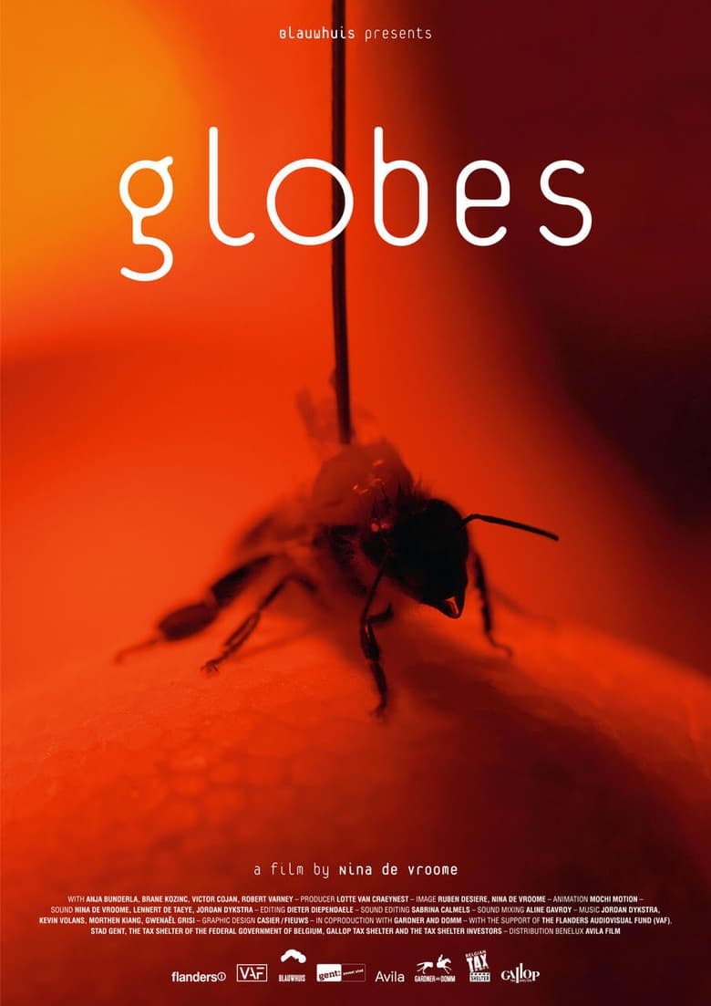 Poster of Globes