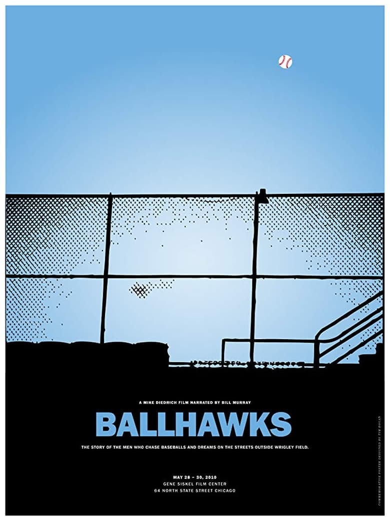 Poster of Ballhawks