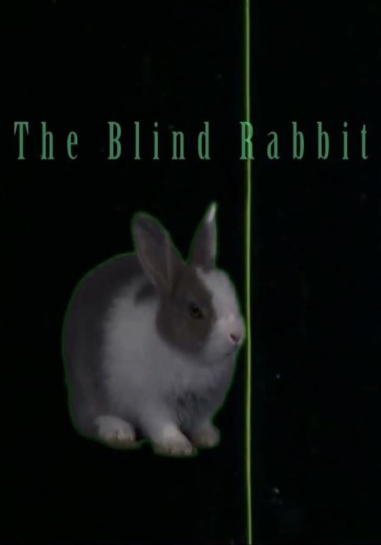 Poster of The Blind Rabbit