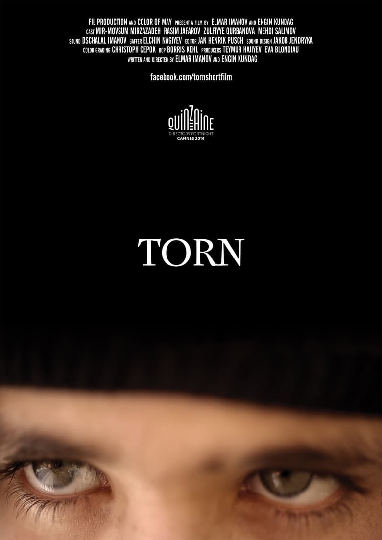 Poster of Torn