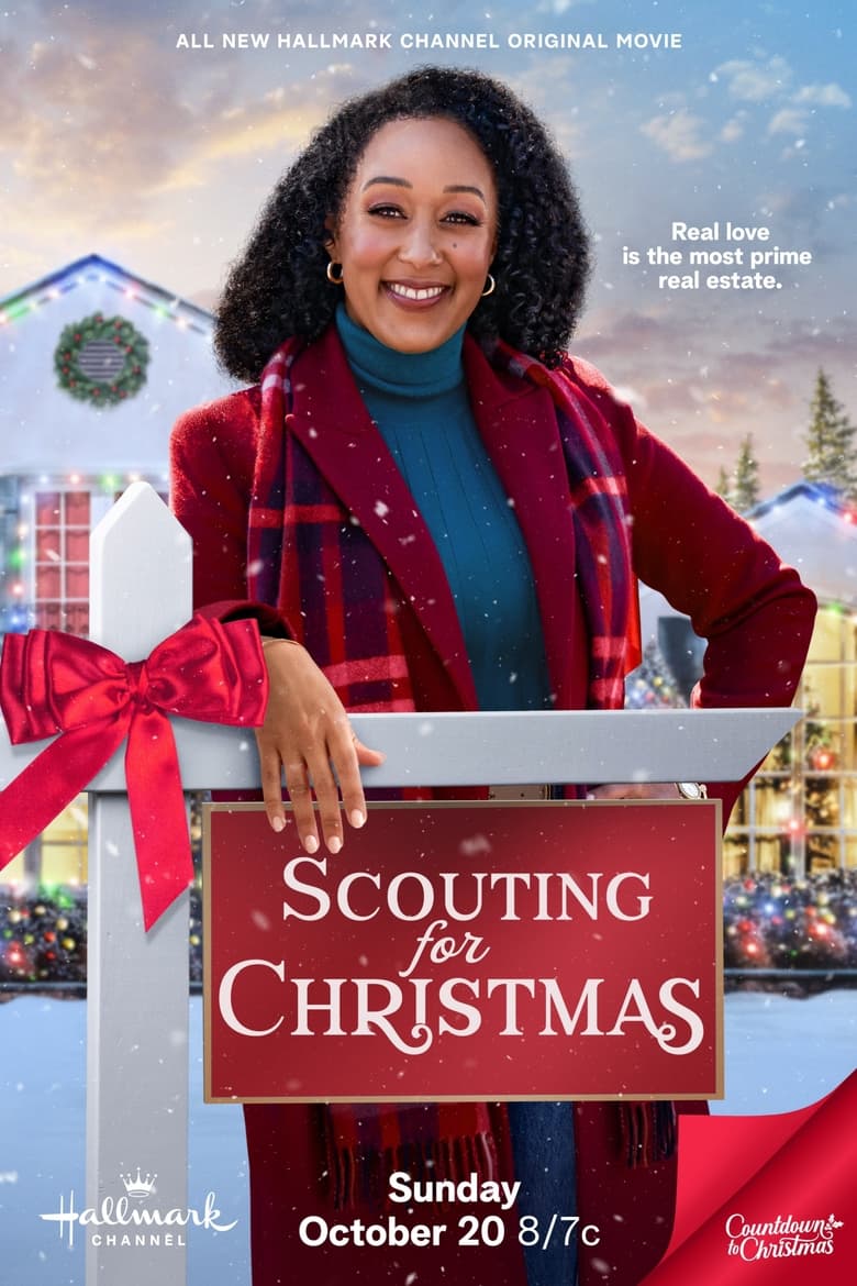 Poster of Scouting for Christmas