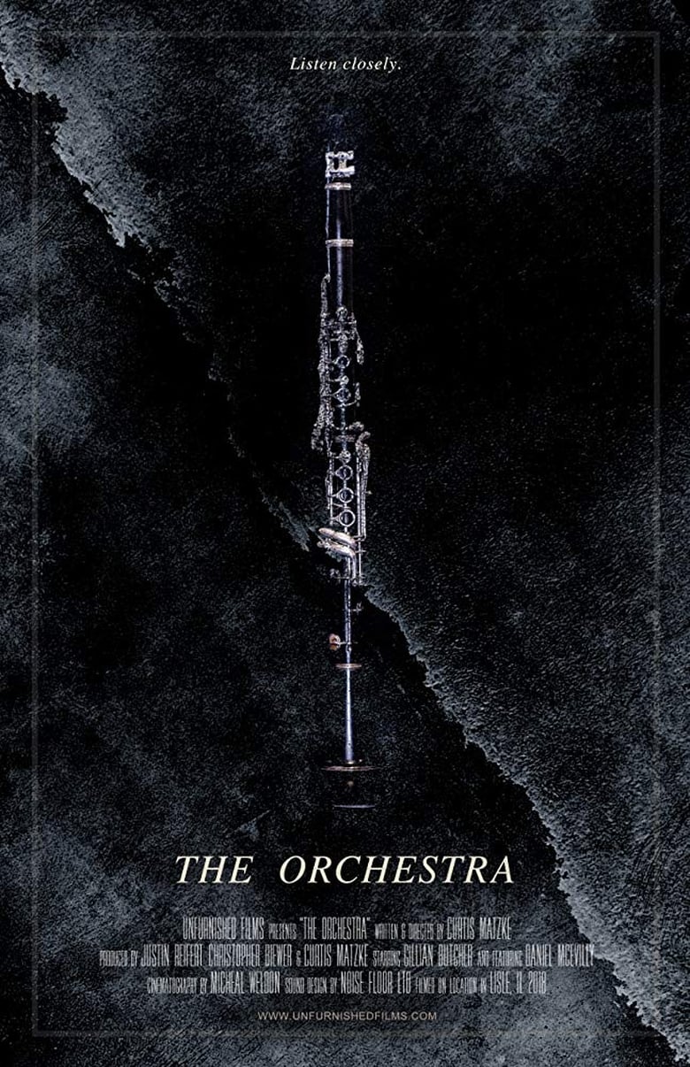 Poster of The Orchestra