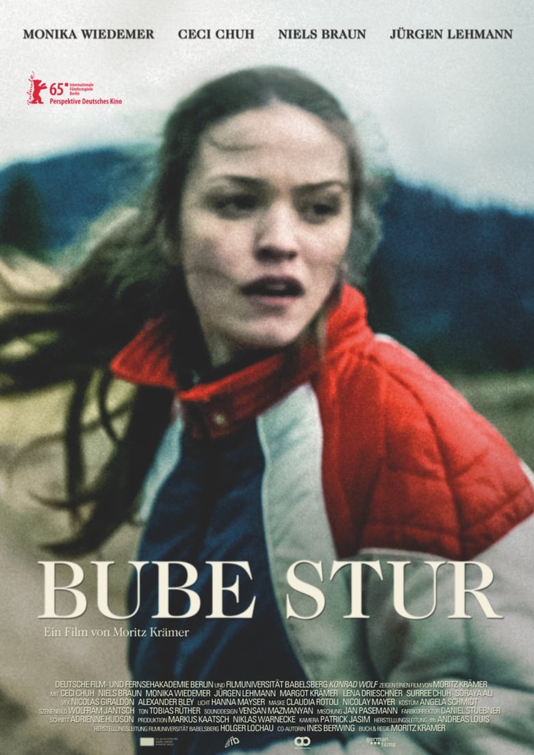 Poster of Stubborn Boy