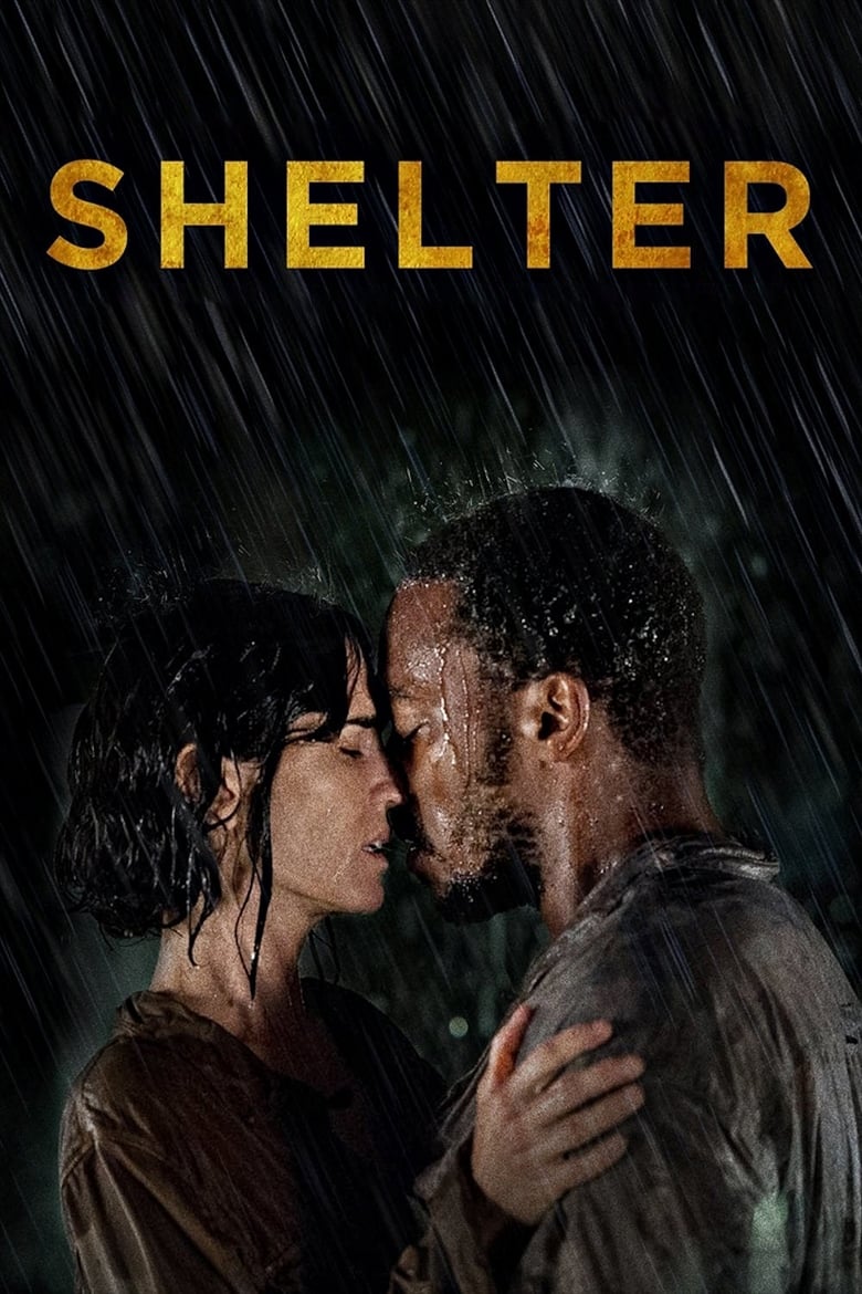 Poster of Shelter