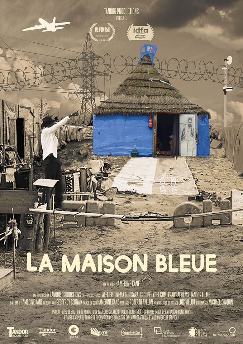 Poster of The Blue House