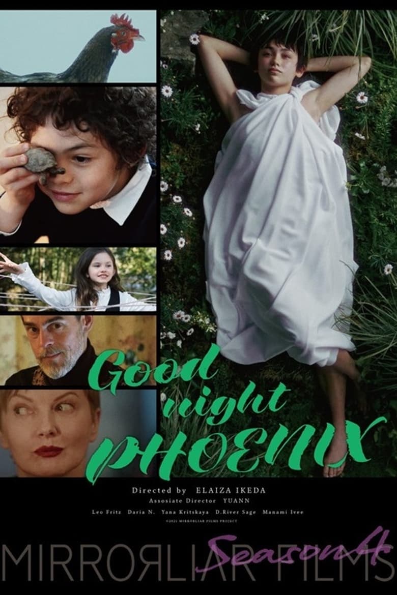 Poster of Good night PHOENIX