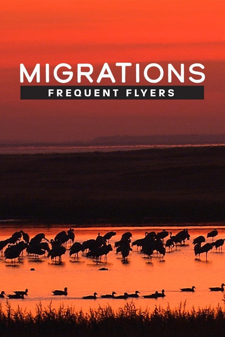 Poster of Migrations: Frequent Flyers