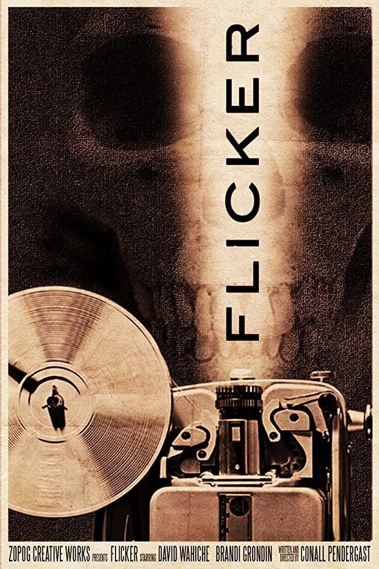 Poster of Flicker