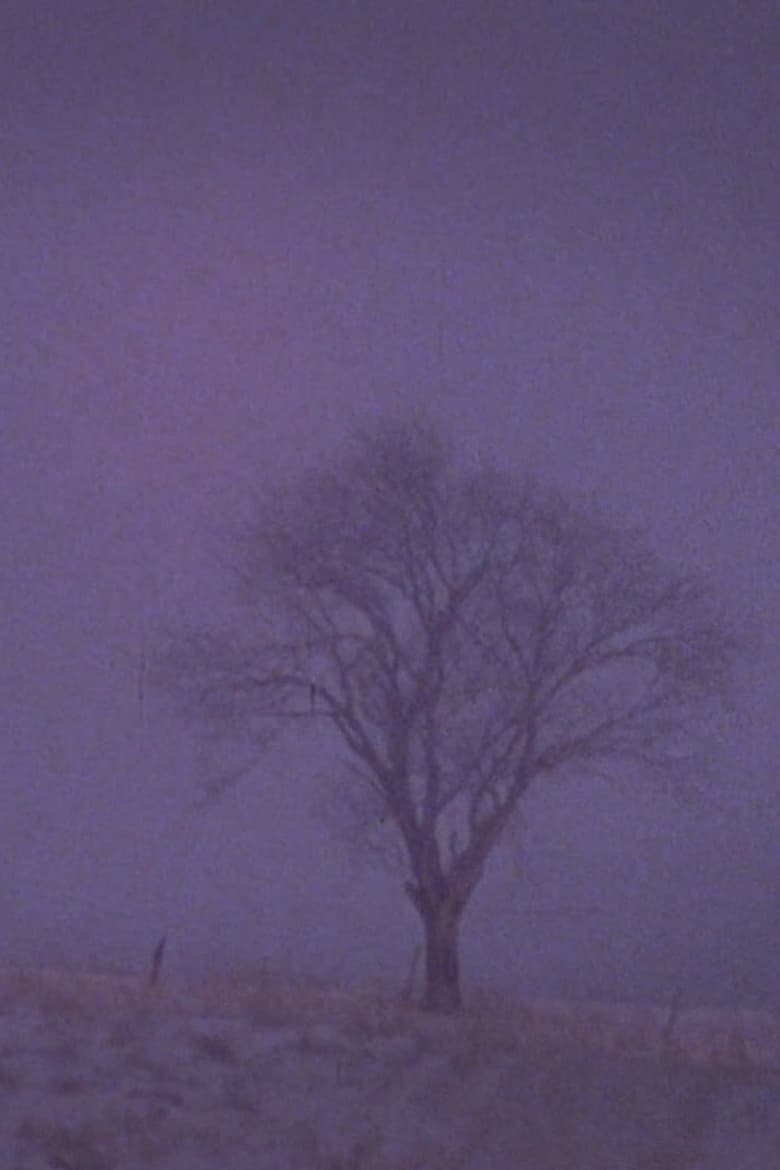 Poster of Tree Over the Valley, Eaton