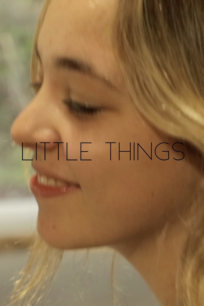 Poster of Little Things