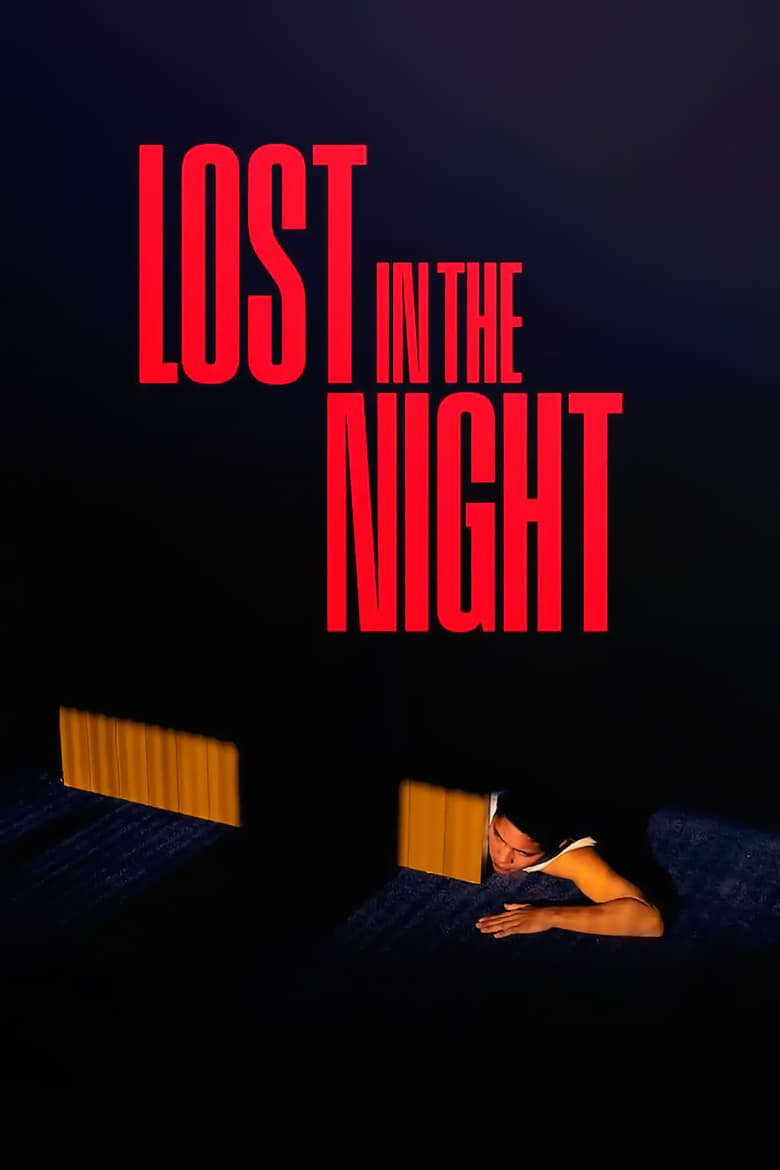 Poster of Lost in the Night