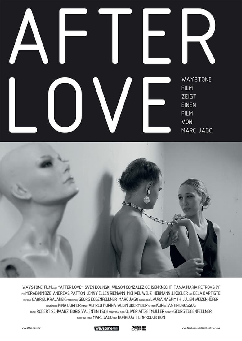 Poster of After Love