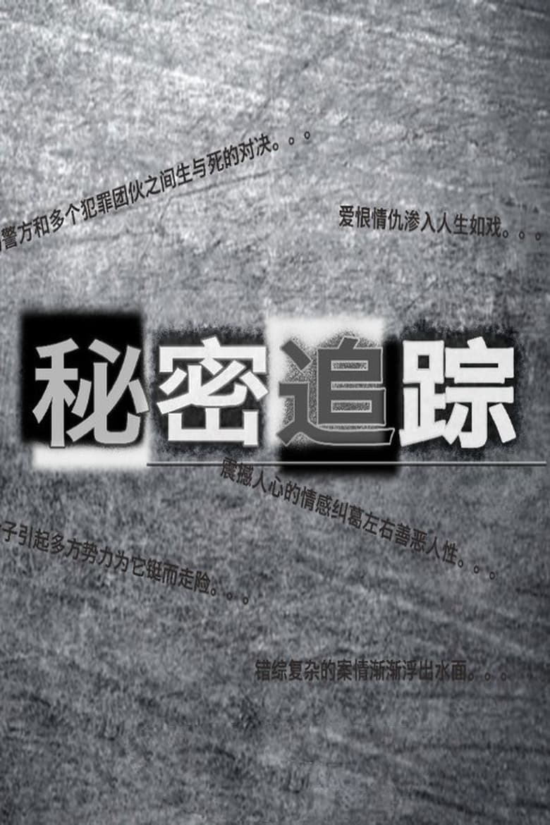 Poster of 秘密追踪