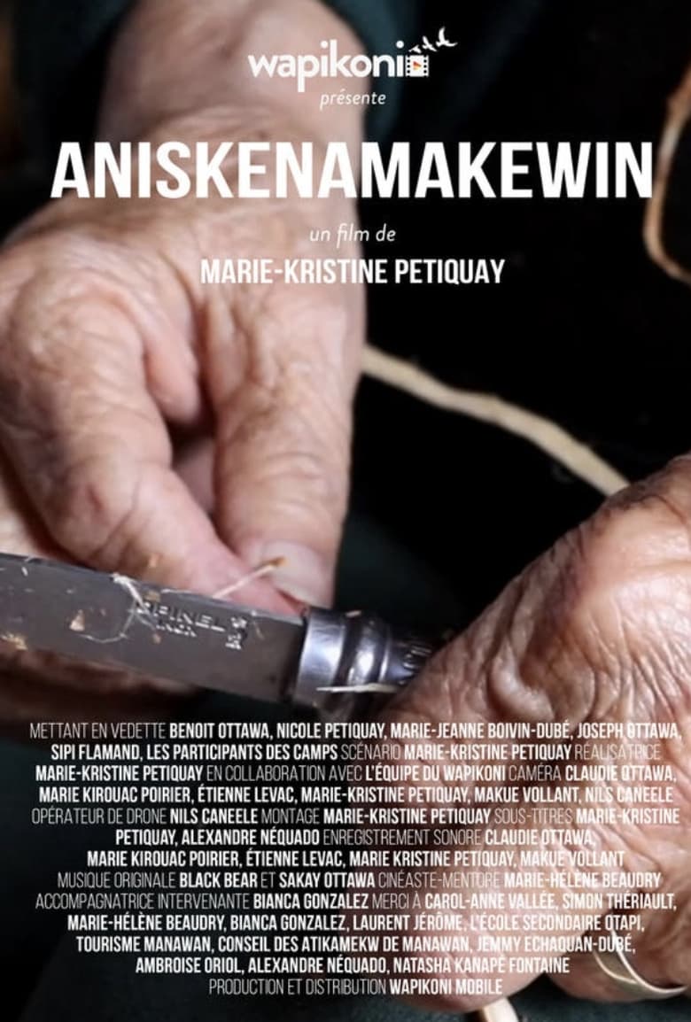 Poster of Aniskenamakewin