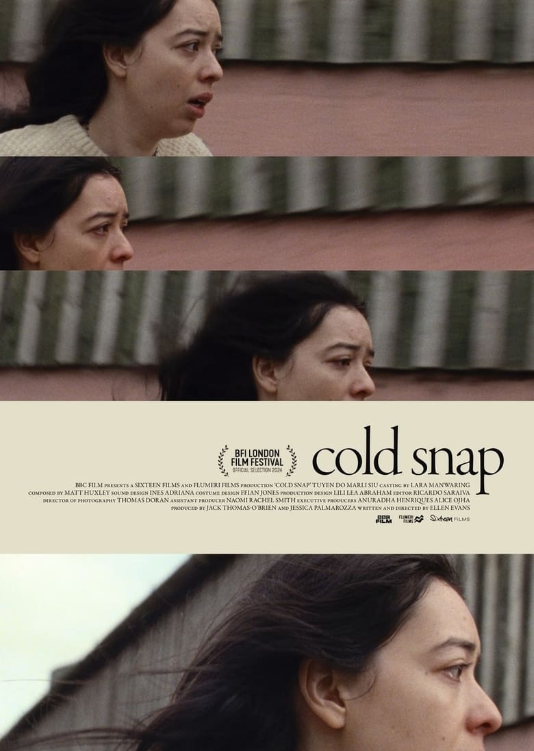 Poster of Cold Snap