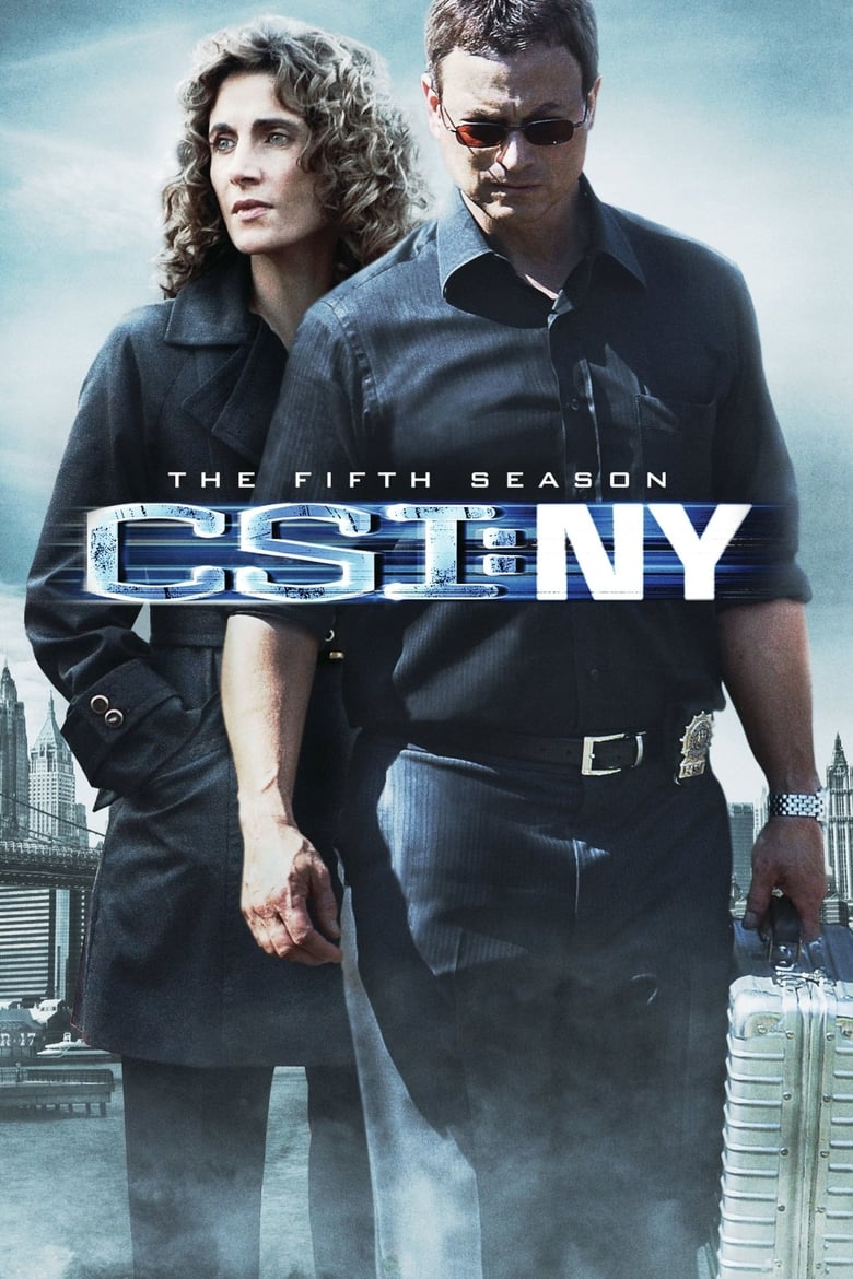 Poster of CSI  NY - Season 5 - Episode 2 - Page Turner