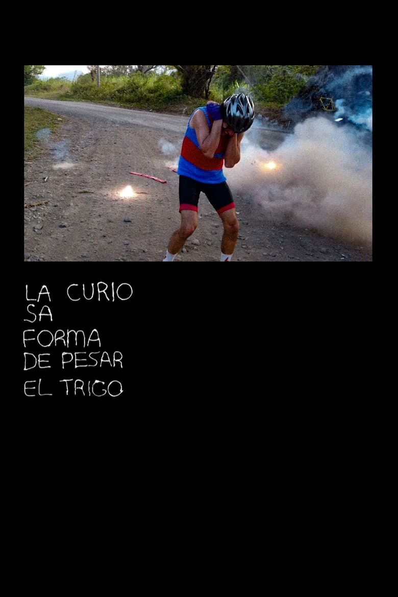 Poster of La curiosa forma de pesar el trigo