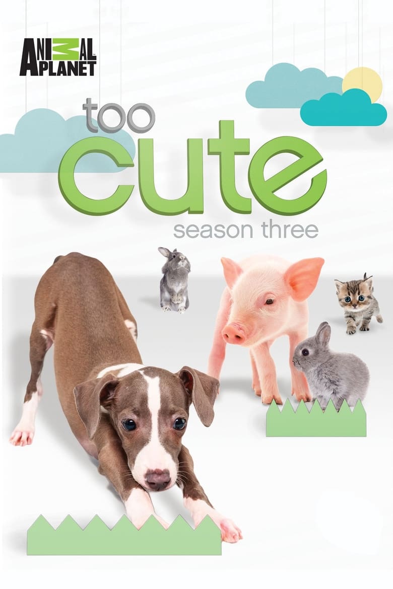 Poster of Cast and Crew in Too Cute - Season 3 - Episode 14 - Animal BFFs - Baby Baboon, Teacup Pig