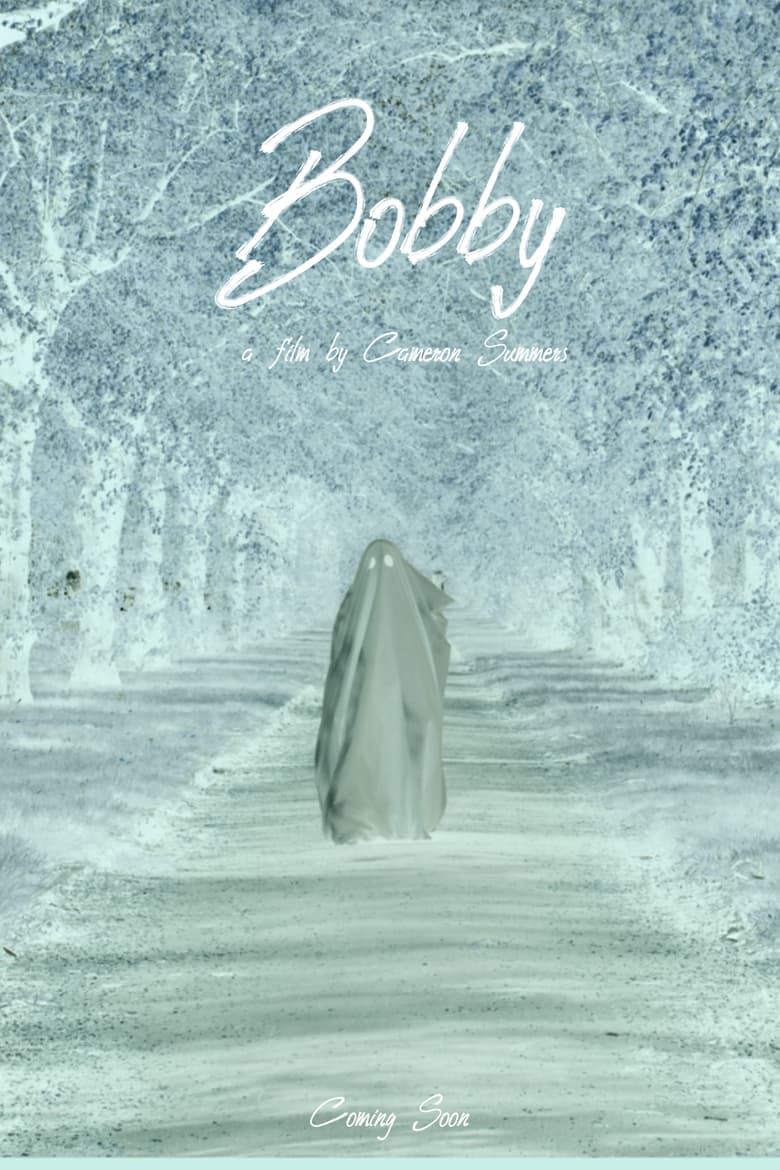 Poster of Bobby