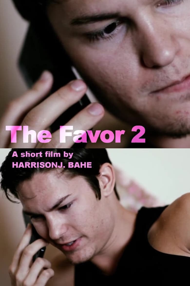 Poster of The Favor 2