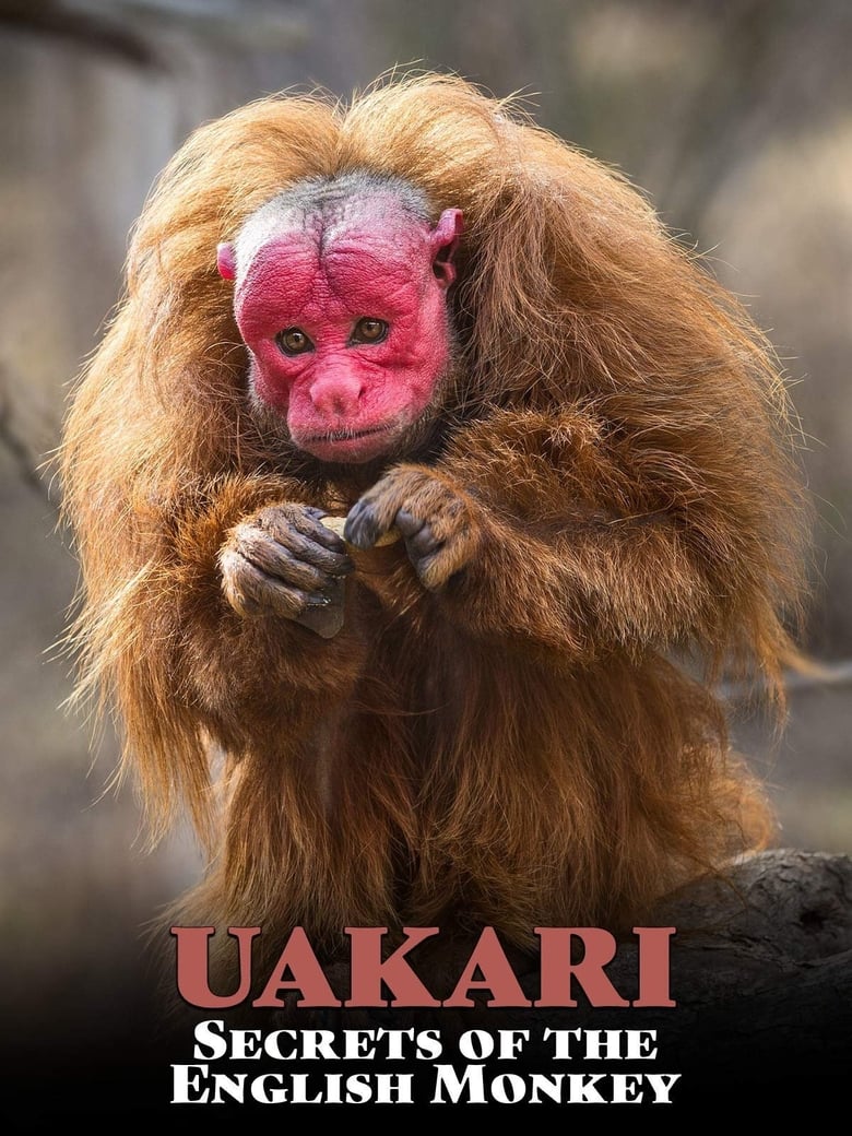 Poster of Uakari: Secrets of the English Monkey