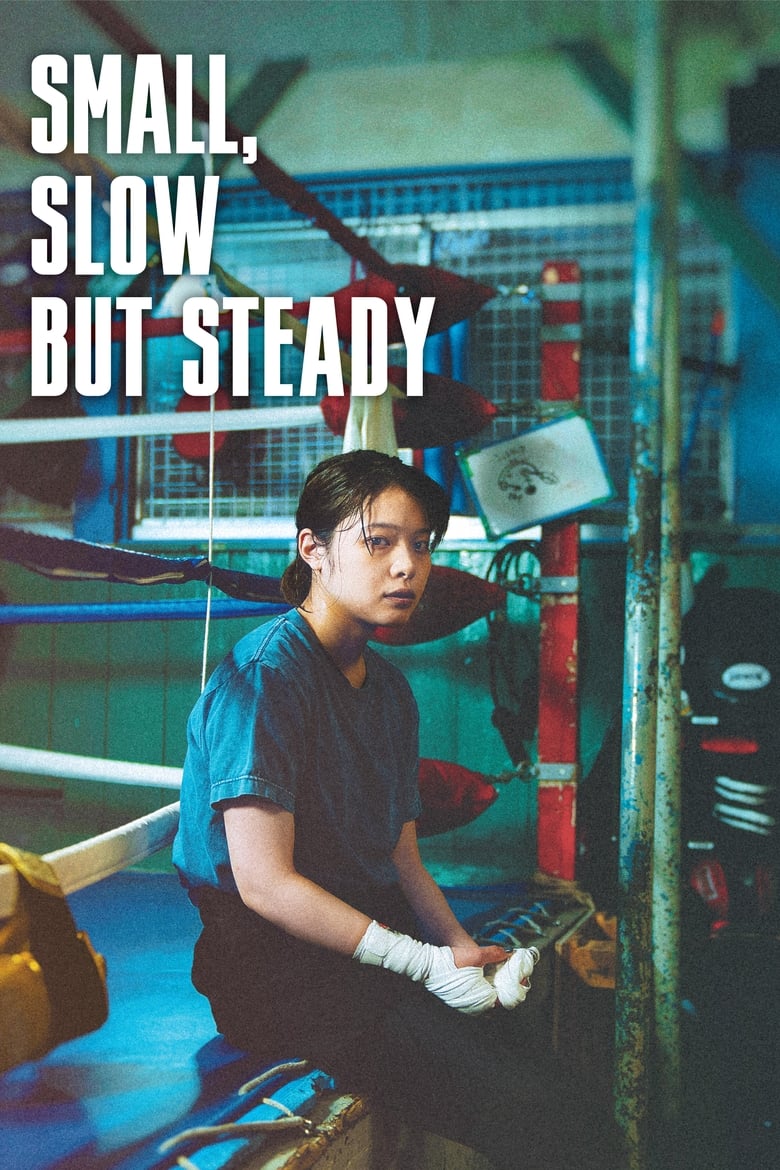 Poster of Small, Slow But Steady