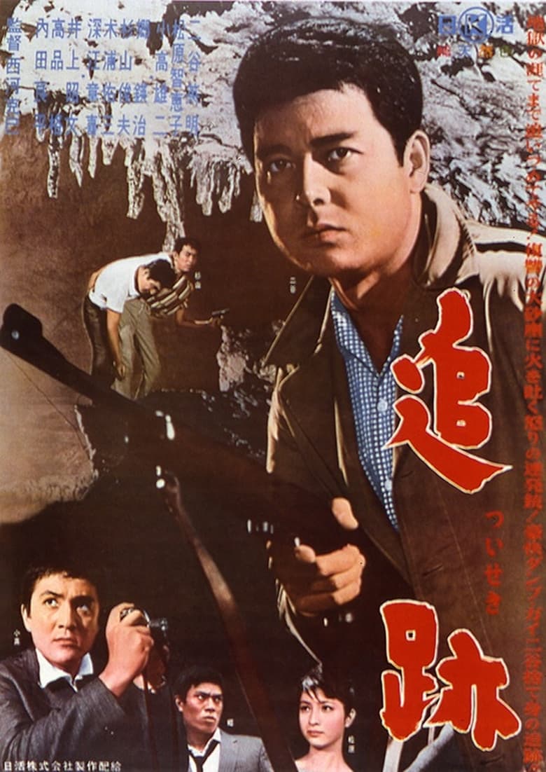 Poster of Pursuit