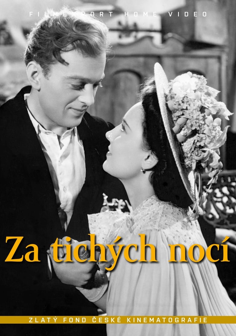 Poster of Za tichých nocí