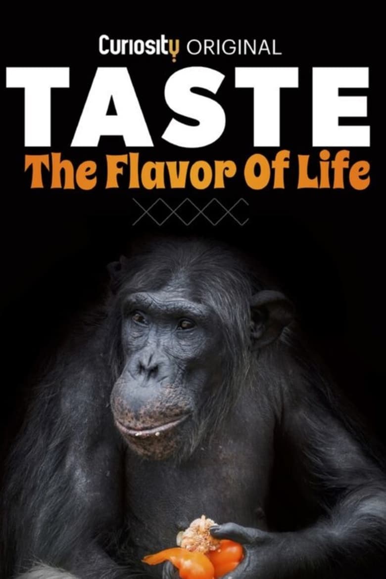 Poster of Taste  The Flavor Of Life - Season 1 - Episode 2 - Episode 2