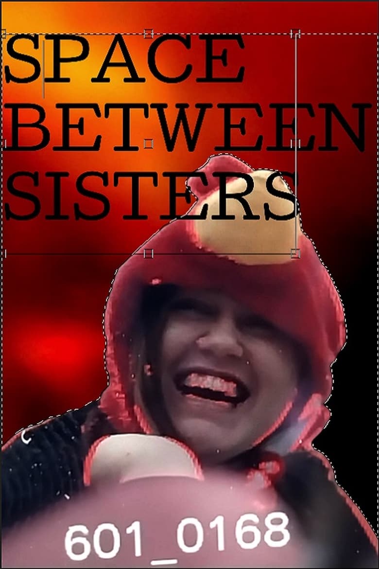 Poster of Space Between Sisters