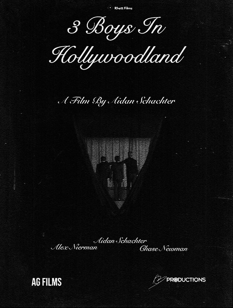 Poster of 3 Boys In Hollywoodland