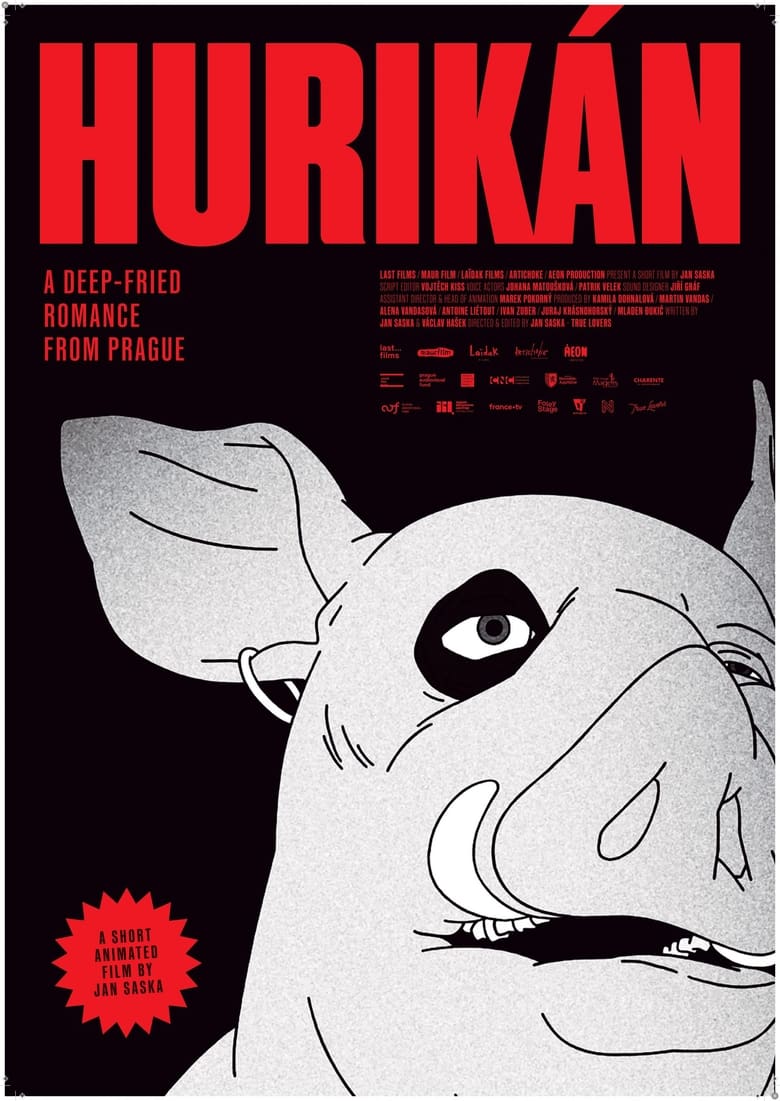 Poster of Hurikán