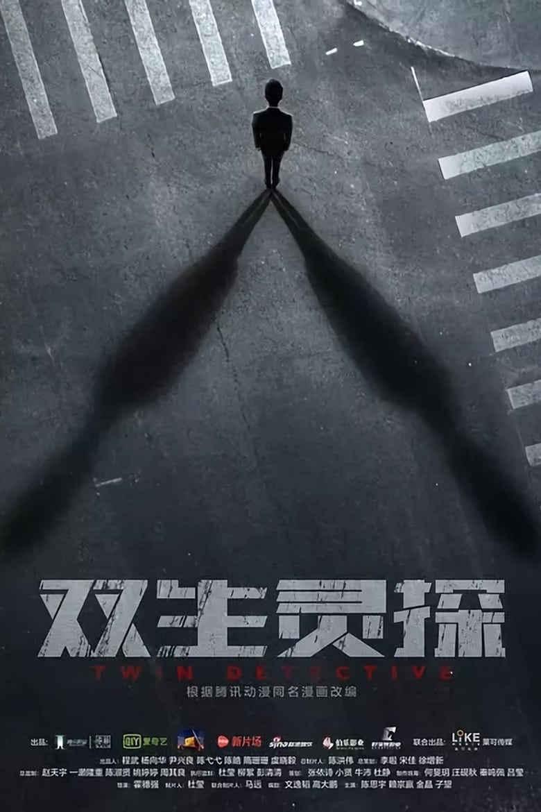 Poster of Twin Detective