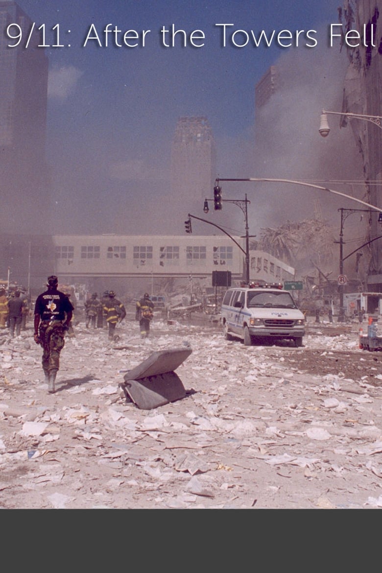 Poster of 9/11: After The Towers Fell