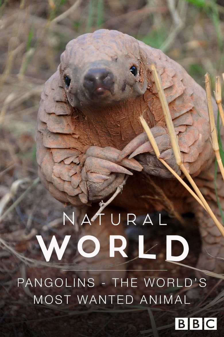 Poster of Pangolins: The World's Most Wanted Animal